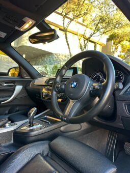 2019 BMW 1 Series 120i 5-Door Edition M Sport Shadow Auto full